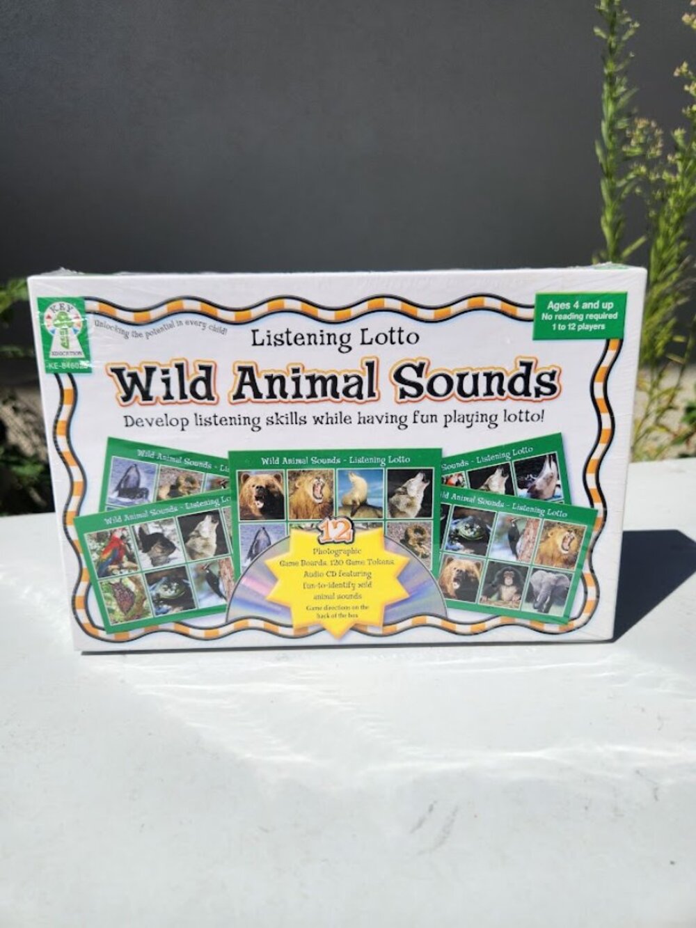 New Wild Animal Sounds Lotto Bingo Key Education Game Classroom Supplies School